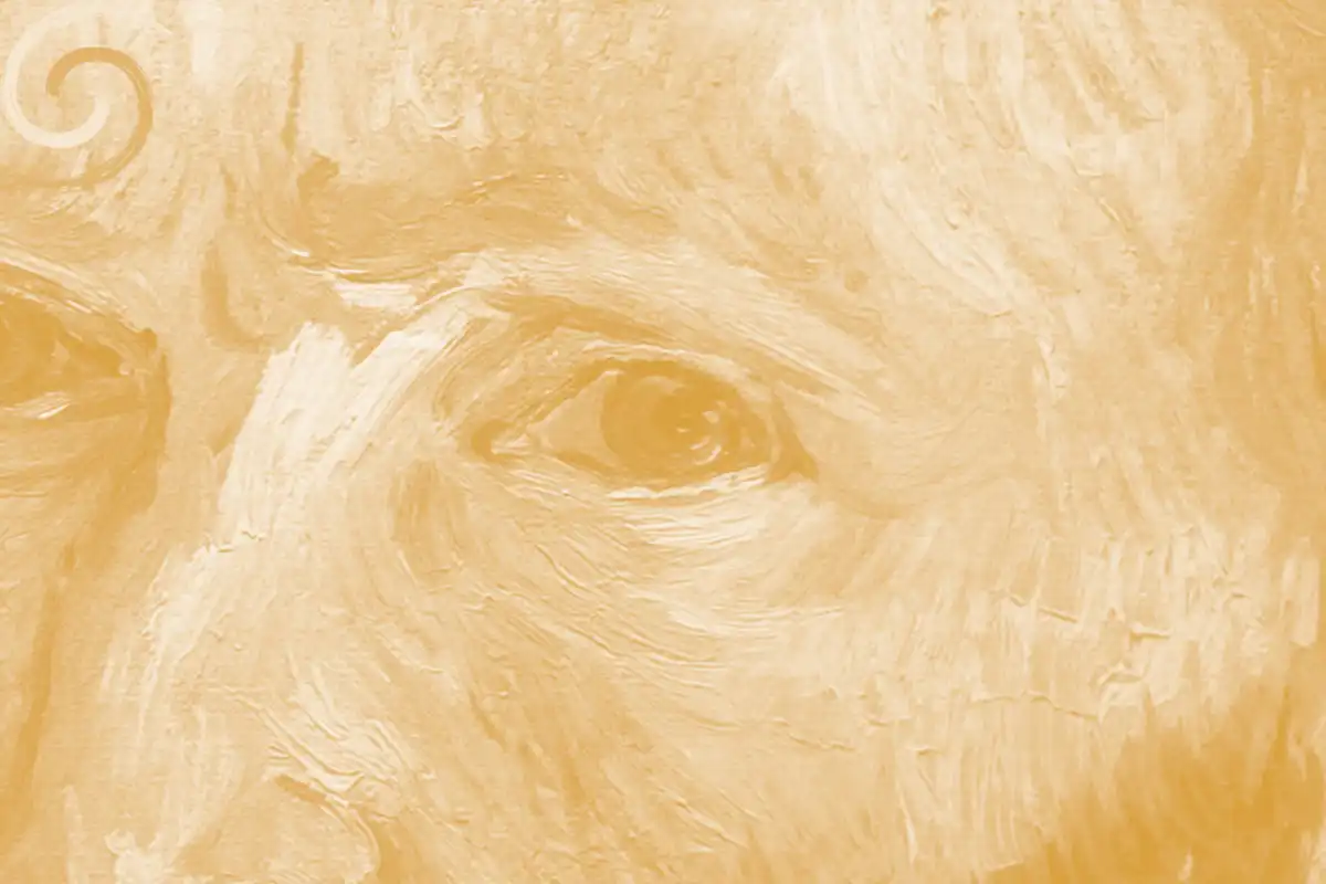 خەمۆکی
